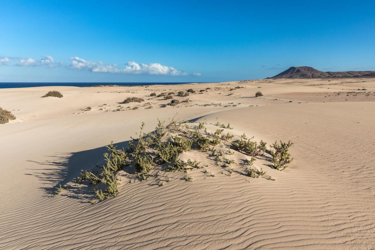 Home2Book Charming Sun & Dunes Apartment Corralejo Ngoại thất bức ảnh